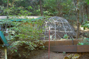 Plans For Chicken coop: Make chicken coop predator proof